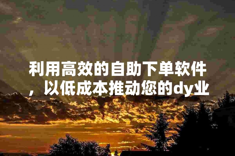 利用高效的自助下单软件，以低成本推动您的dy业务快速增长，实现性价比之选！