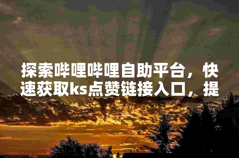 探索哔哩哔哩自助平台，快速获取ks点赞链接入口，提升您的视频曝光度。