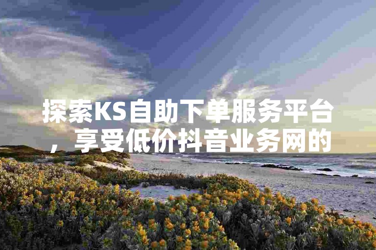 探索KS自助下单服务平台，享受低价抖音业务网的高效便捷服务。