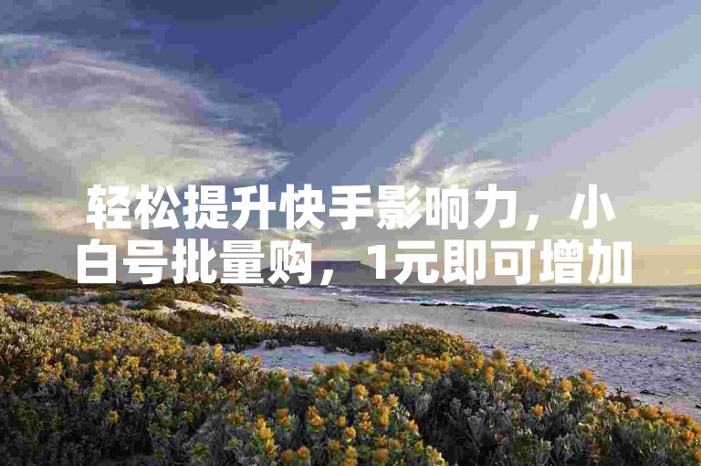 轻松提升快手影响力，小白号批量购，1元即可增加100真实粉丝。