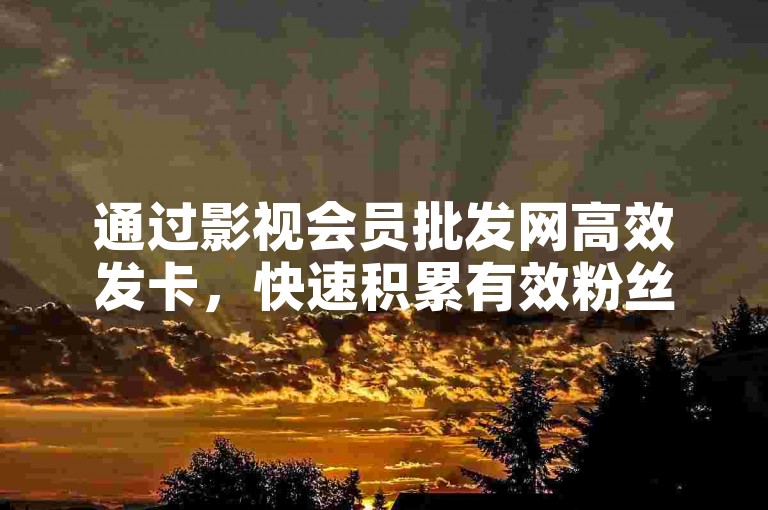 通过影视会员批发网高效发卡，快速积累有效粉丝，提升您的社交媒体影响力。