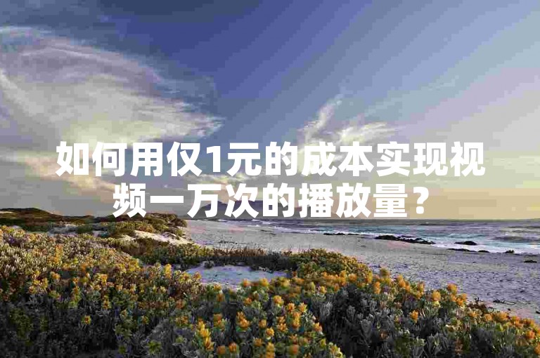如何用仅1元的成本实现视频一万次的播放量？