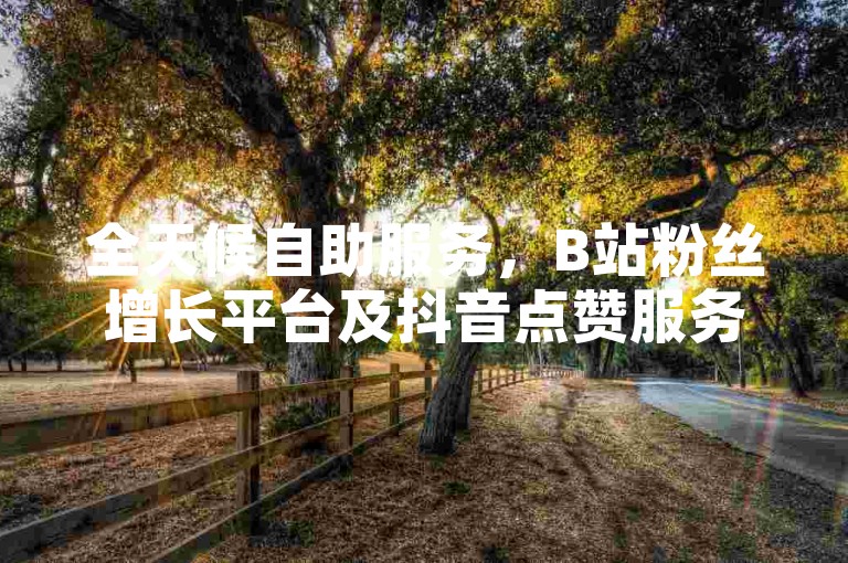 全天候自助服务，B站粉丝增长平台及抖音点赞服务，助力您的社交媒体影响力飙升。