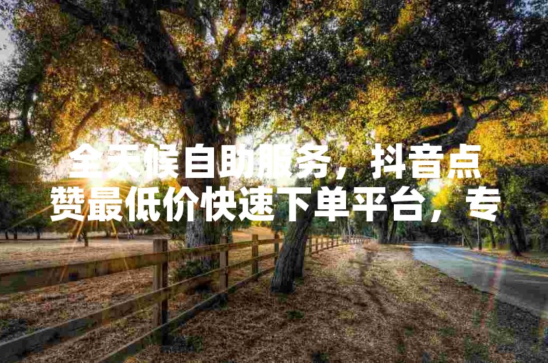 全天候自助服务，抖音点赞最低价快速下单平台，专业运营保障。