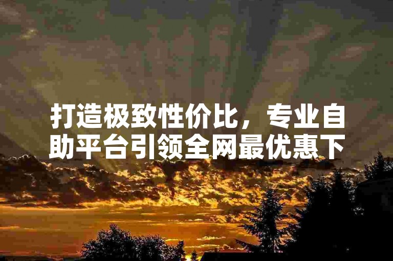打造极致性价比，专业自助平台引领全网最优惠下单体验。