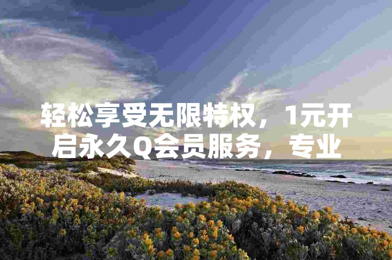 轻松享受无限特权,1元开启永久Q会员服务,专业卡盟平台助力您的数字生活。