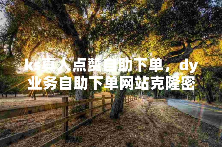 ks真人点赞自助下单，dy业务自助下单网站克隆密钥，快速提升你的社交媒体影响力。