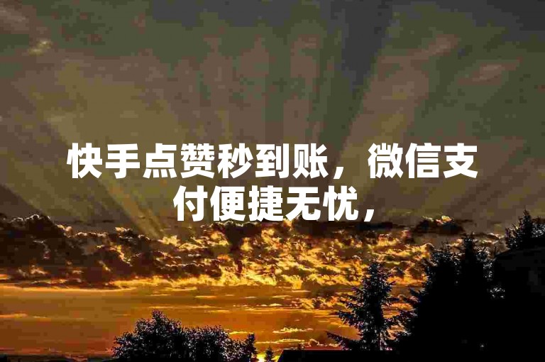 快手点赞秒到账,微信支付便捷无忧,5元即可购得1000关注量。