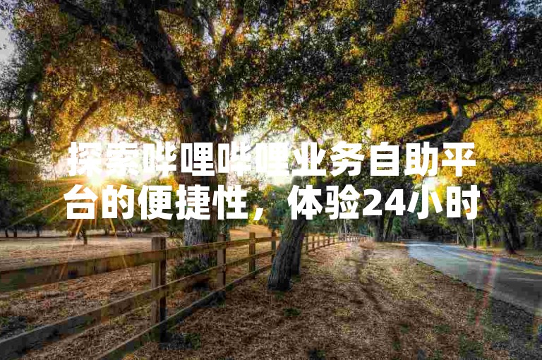 探索哔哩哔哩业务自助平台的便捷性，体验24小时不间断的自助下单卡盟服务。
