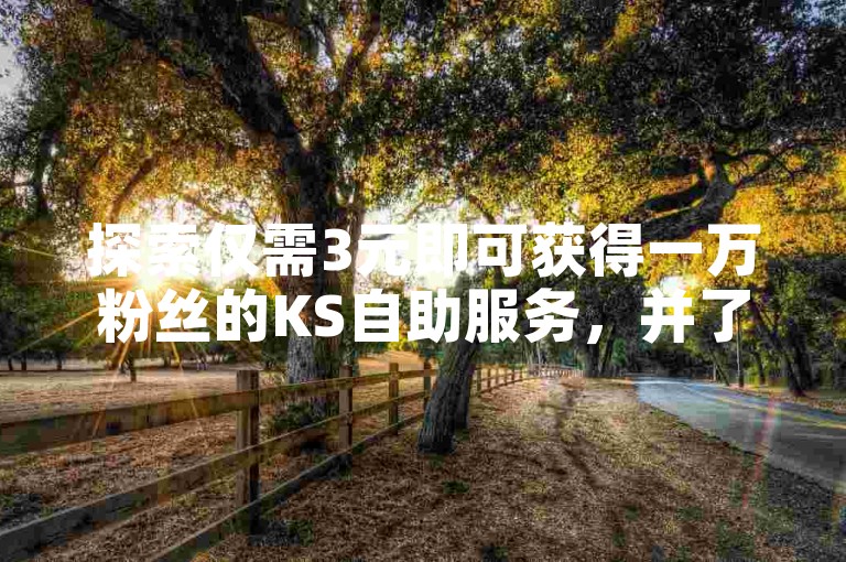 探索仅需3元即可获得一万粉丝的KS自助服务，并了解KS视频点赞是否涉及费用。