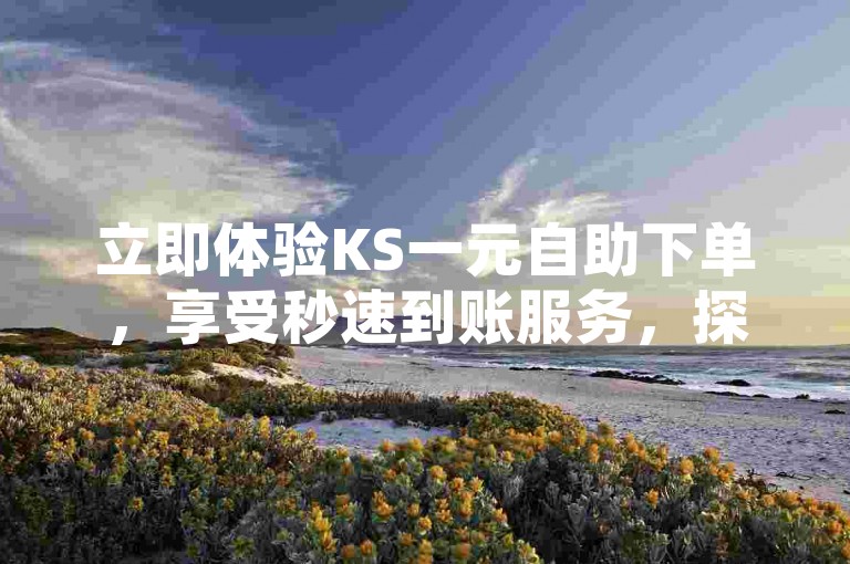 立即体验KS一元自助下单，享受秒速到账服务，探索免费业务自助平台，卡盟提供全天候24小时自助下单，并赠送QQ空间动态说说点赞免费服务。