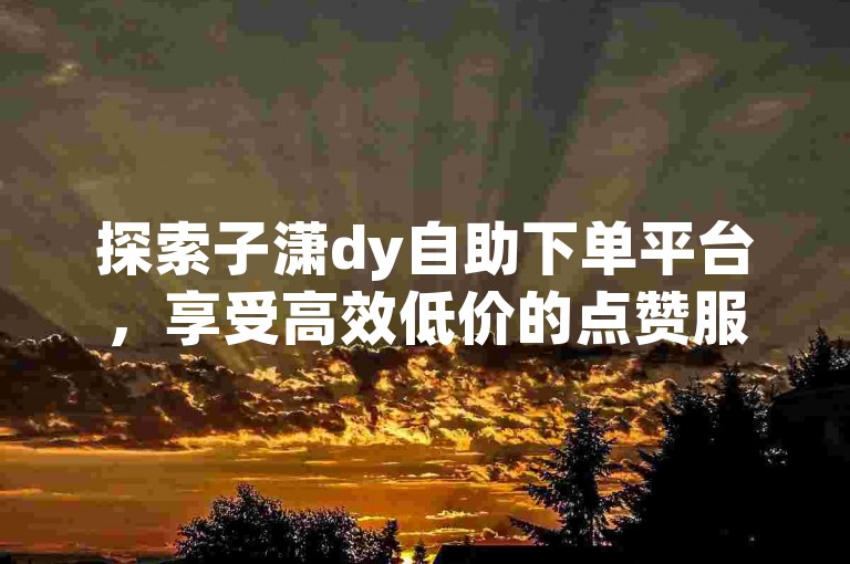 探索子潇dy自助下单平台，享受高效低价的点赞服务，提升您的社交媒体影响力。