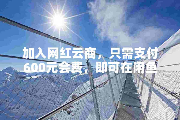 加入网红云商，只需支付600元会费，即可在闲鱼和拼多多等平台合法开展电商业务。