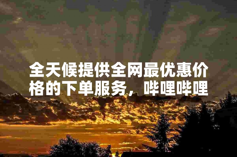 全天候提供全网最优惠价格的下单服务，哔哩哔哩业务自助平台等你来体验。