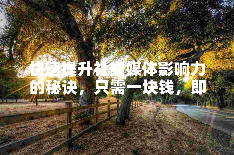 快速提升社交媒体影响力的秘诀，只需一块钱，即可在我们的业务自助下单平台获得100个赞。