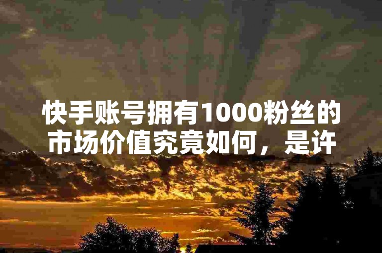 快手账号拥有1000粉丝的市场价值究竟如何，是许多用户关心的焦点。