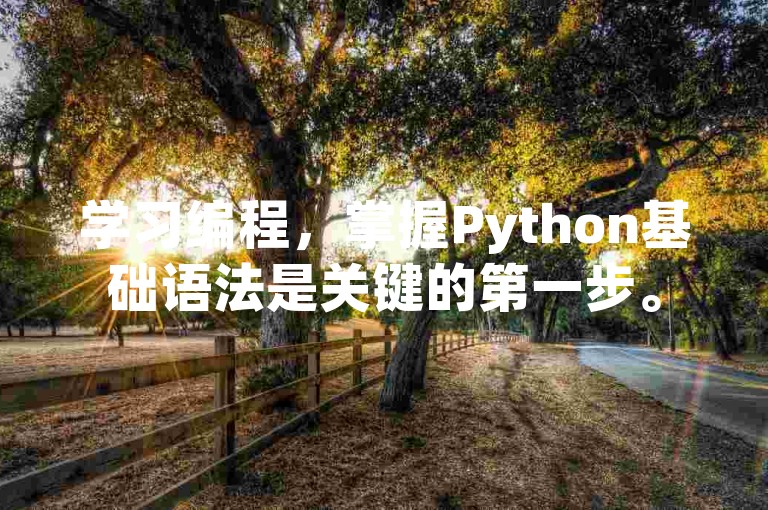 学习编程，掌握Python基础语法是关键的第一步。