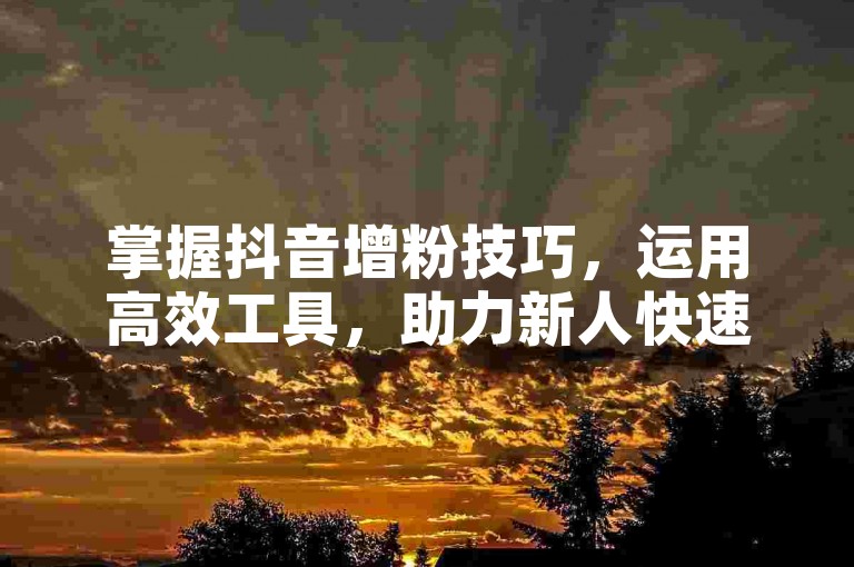 掌握抖音增粉技巧，运用高效工具，助力新人快速提升影响力。