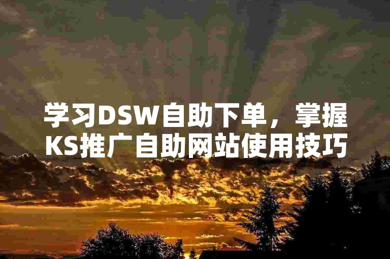 学习DSW自助下单,掌握KS推广自助网站使用技巧。