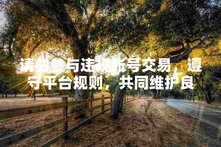 请勿参与违规账号交易，遵守平台规则，共同维护良好网络环境。