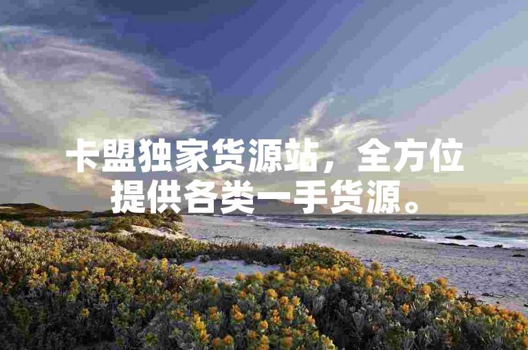 卡盟独家货源站，全方位提供各类一手货源。