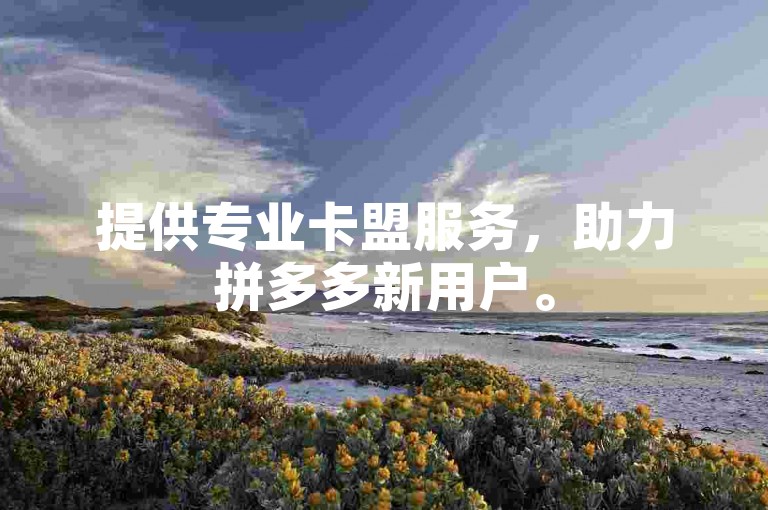 提供专业卡盟服务,助力拼多多新用户。