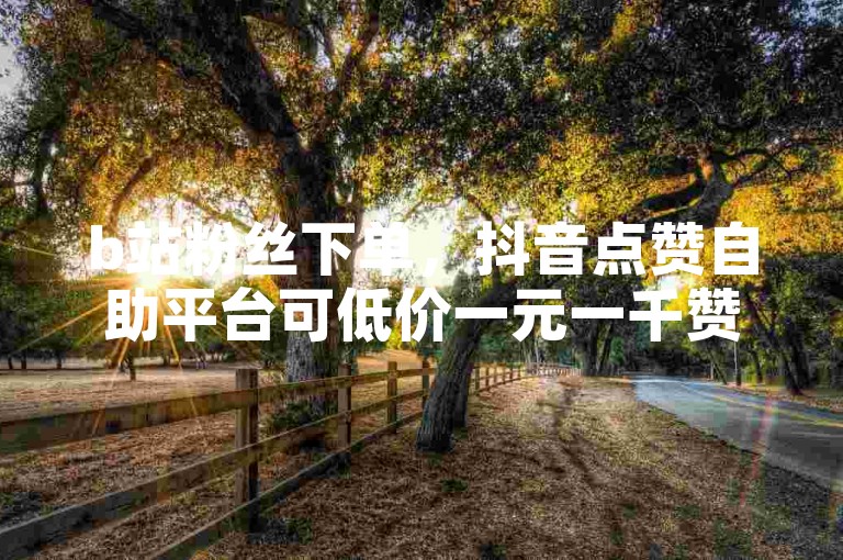 b站粉丝下单,抖音点赞自助平台可低价一元一千赞。