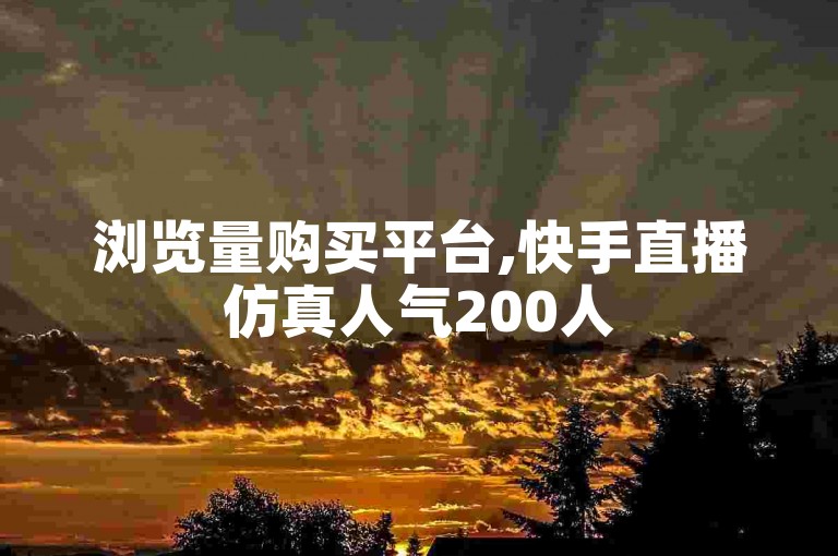 浏览量购买平台,快手直播仿真人气200人