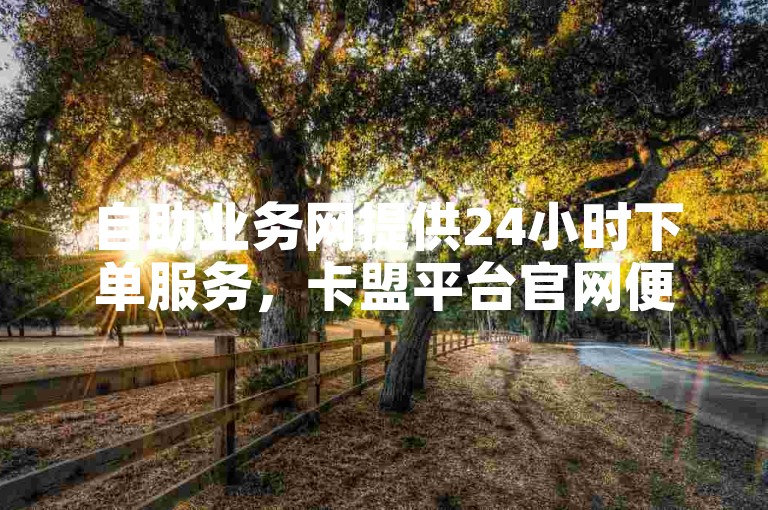 自助业务网提供24小时下单服务,卡盟平台官网便捷可靠。