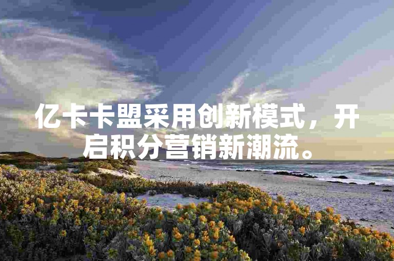 亿卡卡盟采用创新模式，开启积分营销新潮流。