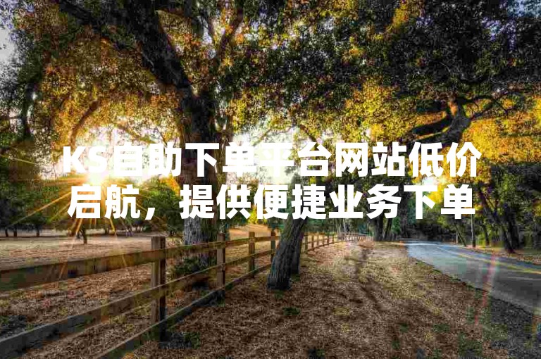 KS自助下单平台网站低价启航，提供便捷业务下单服务。