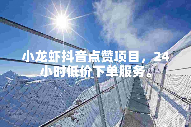 小龙虾抖音点赞项目，24小时低价下单服务。