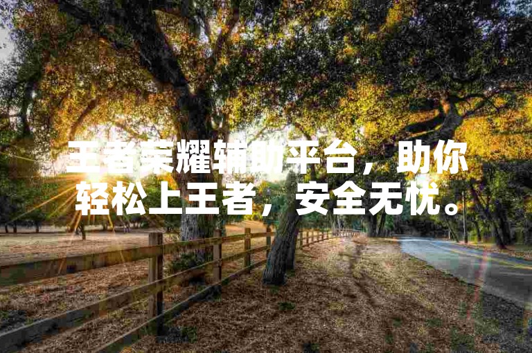 王者荣耀辅助平台，助你轻松上王者，安全无忧。