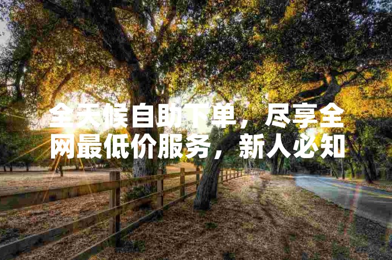 全天候自助下单，尽享全网最低价服务，新人必知！