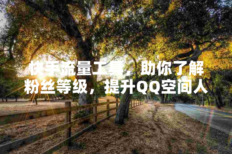 快手流量工具，助你了解粉丝等级，提升QQ空间人气。