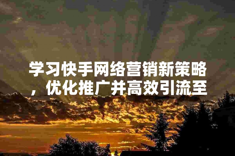 学习快手网络营销新策略，优化推广并高效引流至品牌网站。