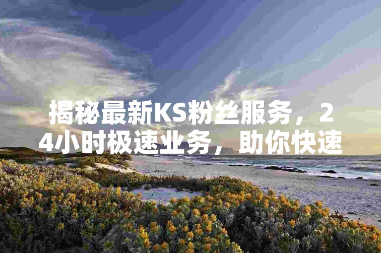 揭秘最新KS粉丝服务,24小时极速业务,助你快速提升影响力!