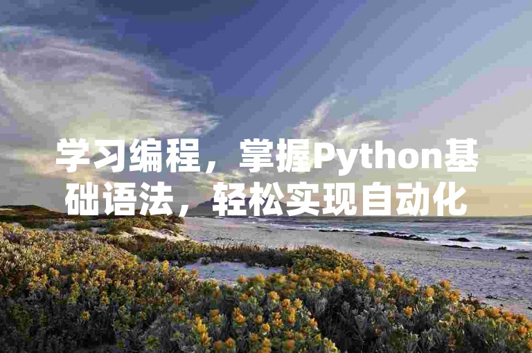学习编程,掌握Python基础语法,轻松实现自动化任务。