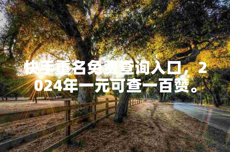 快手重名免费查询入口，2024年一元可查一百赞。