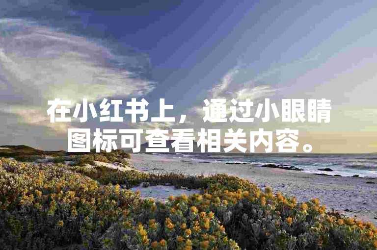 在小红书上,通过小眼睛图标可查看相关内容。