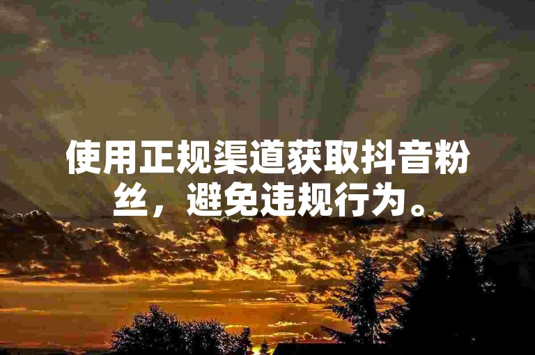 使用正规渠道获取抖音粉丝,避免违规行为。