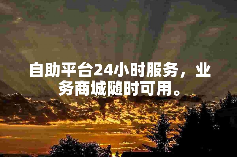 自助平台24小时服务,业务商城随时可用。