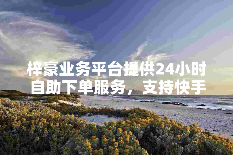 梓豪业务平台提供24小时自助下单服务，支持快手、抖音等平台。