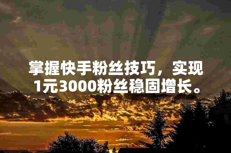 掌握快手粉丝技巧,实现1元3000粉丝稳固增长。