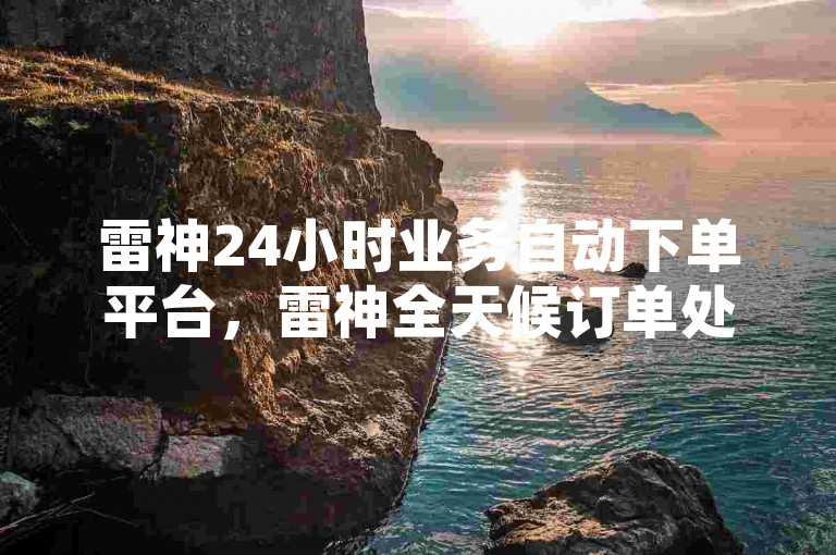 雷神24小时业务自动下单平台,雷神全天候订单处理系统,提升工作效率。