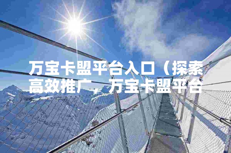 万宝卡盟平台入口(探索高效推广,万宝卡盟平台等你来)