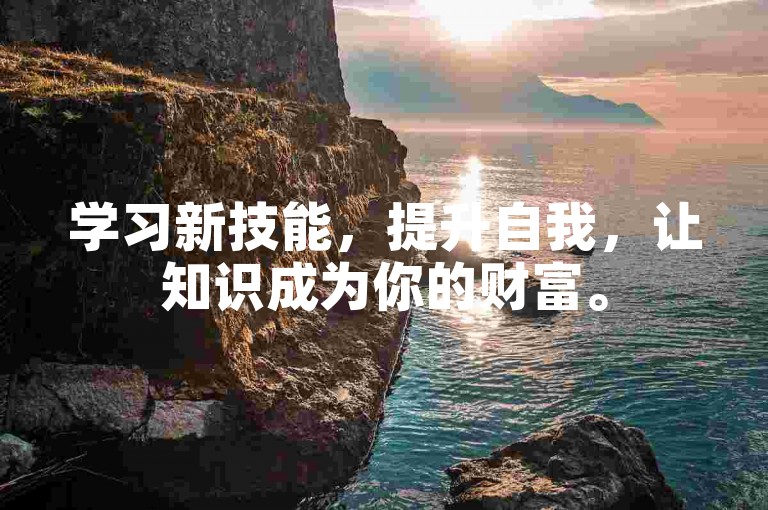 学习新技能，提升自我，让知识成为你的财富。