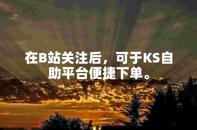 在B站关注后，可于KS自助平台便捷下单。