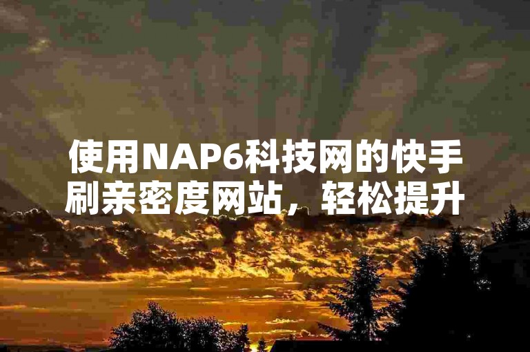 使用NAP6科技网的快手刷亲密度网站，轻松提升账号互动。