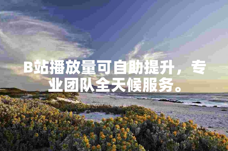 B站播放量可自助提升，专业团队全天候服务。